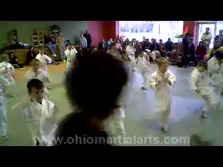 Martial Arts in Sylvania and Toledo 4-3-09 Test