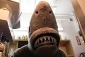 Shark Steals Man's Lunch