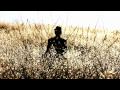 Pink Martini - Splendor in the Grass | Official Music Video