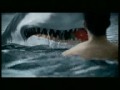 SHOCKING Shark Attack Caught on Tape