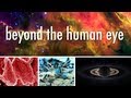 Seeing Beyond the Human Eye | Off Book | PBS