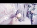 Bunny eating a rose! Super cute